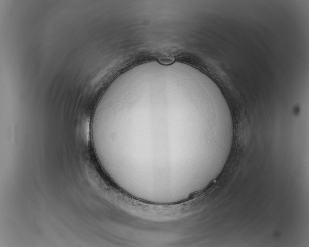 X0000116380027200912161511