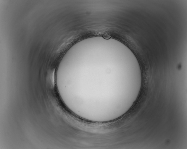 X0000116380028200912161511