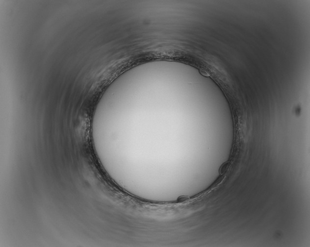 X0000116380029200912161511