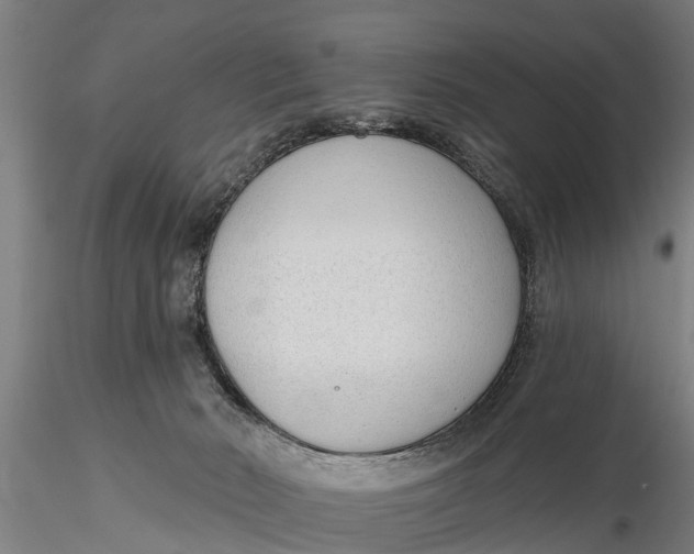 X0000116380030200912161511