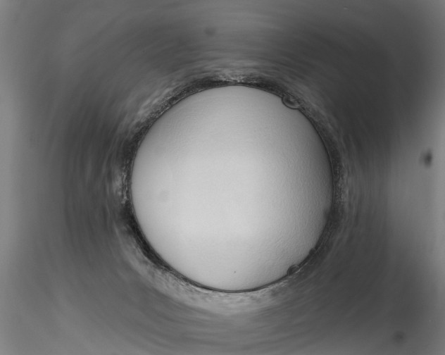 X0000116380031200912161511