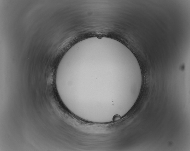 X0000116380032200912161511