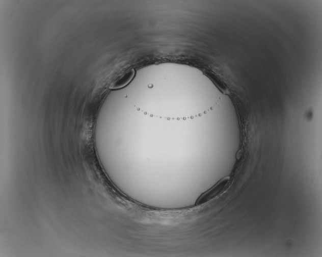 X0000116380033200912161511