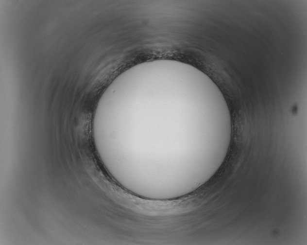 X0000116380034200912161511