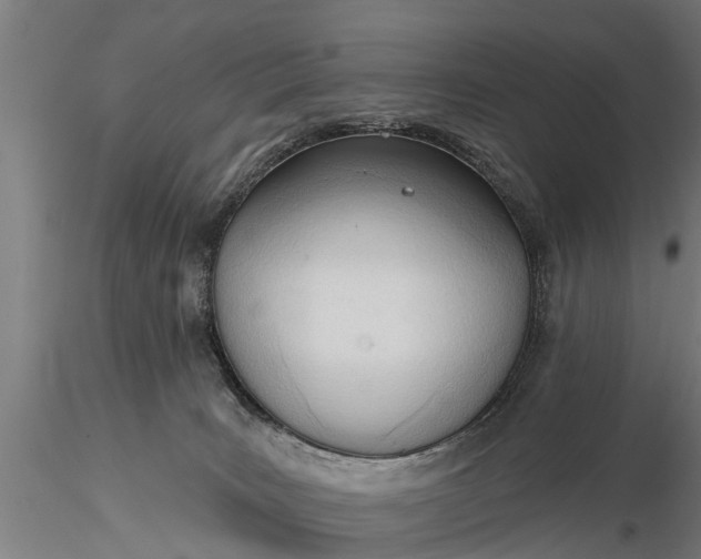 X0000116380035200912161511