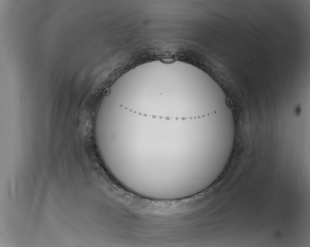 X0000116380037200912161511