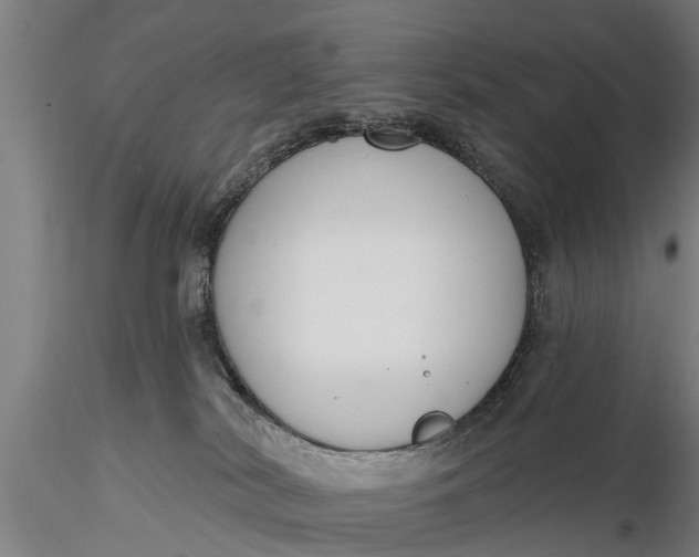 X0000116380038200912161511