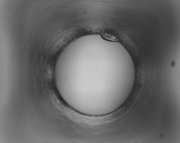 X0000116380039200912161511