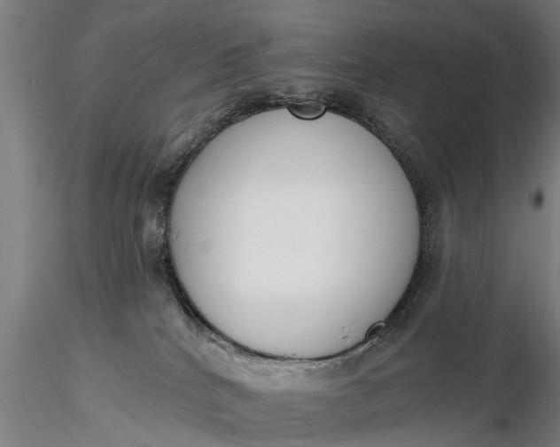X0000116380040200912161511