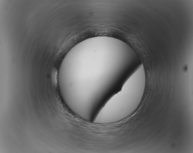 X0000116380041200912161511