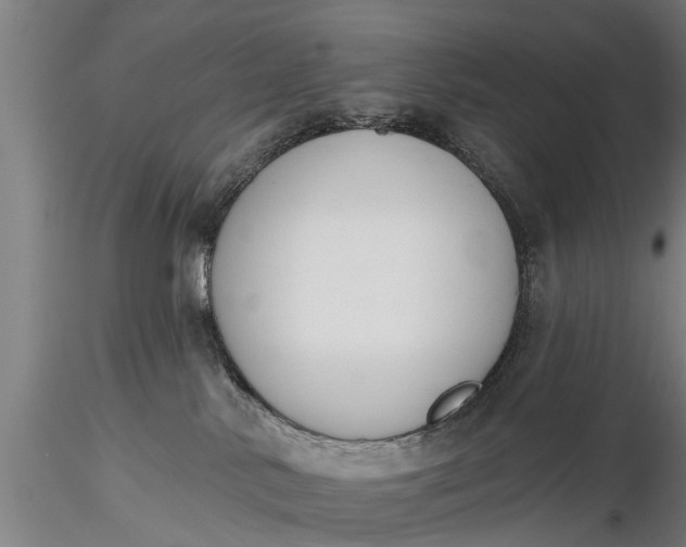 X0000116380042200912161511