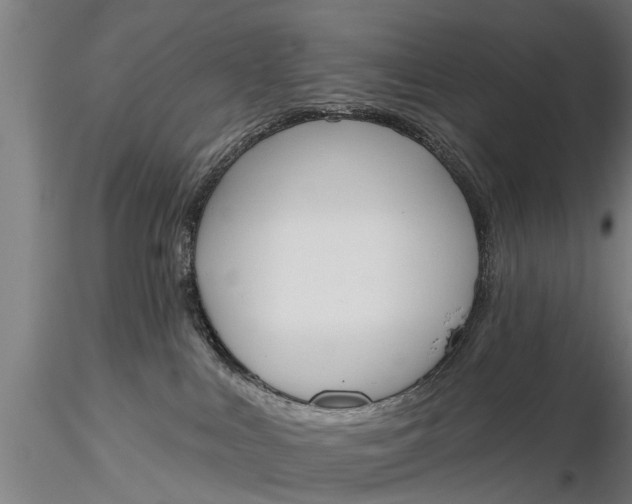 X0000116380043200912161511