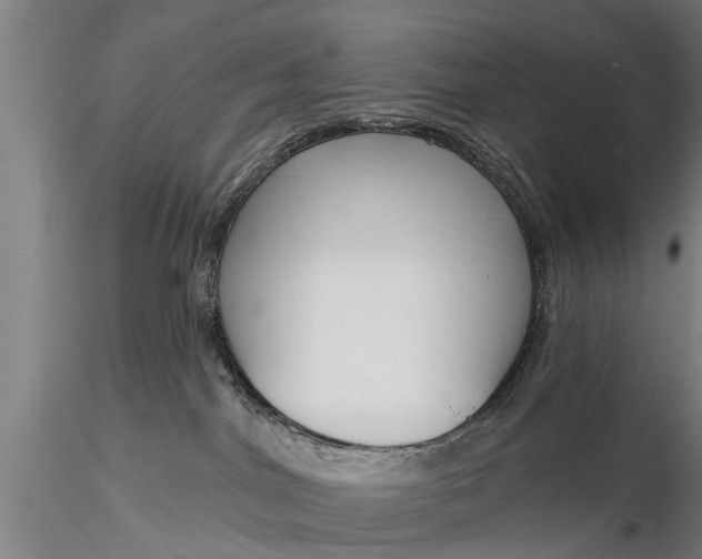 X0000116380044200912161511