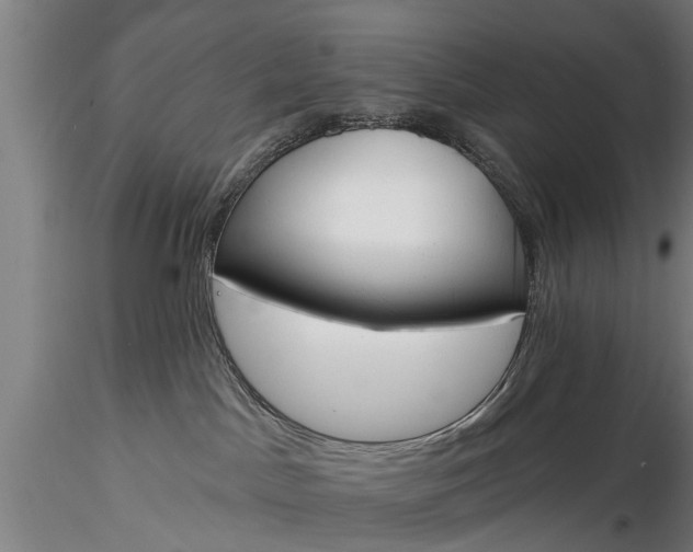 X0000116380045200912161511
