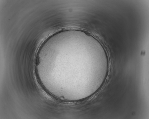 X0000116380049200912161510