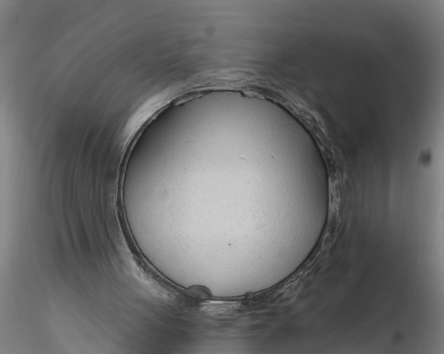 X0000116380051200912161510