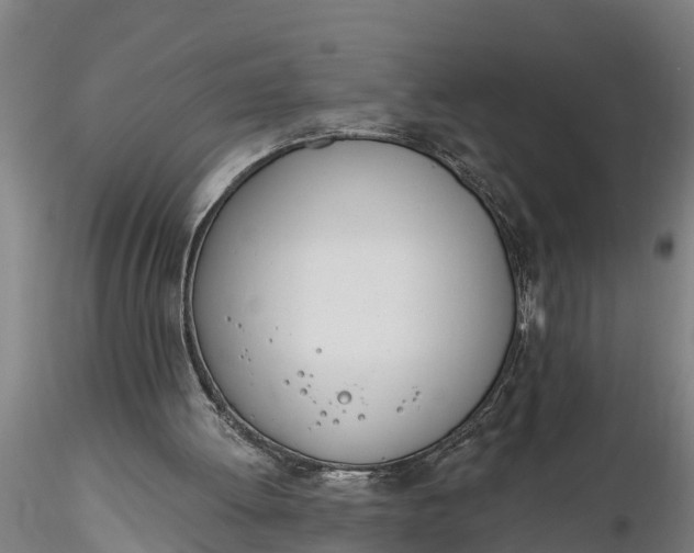 X0000116380052200912161510