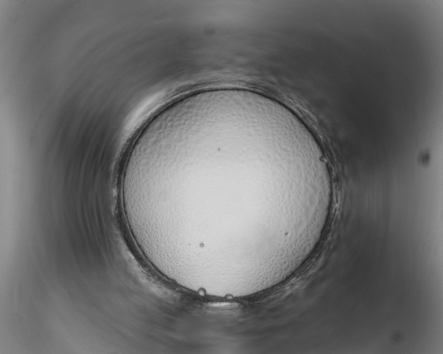 X0000116380053200912161510