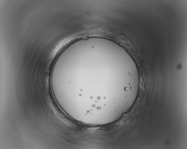 X0000116380054200912161510