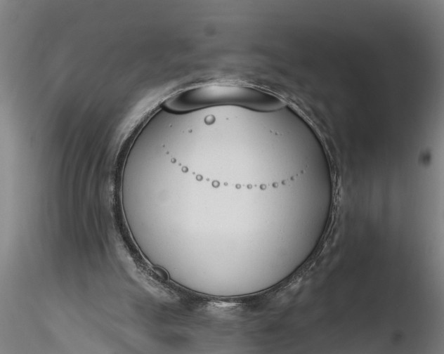 X0000116380055200912161510