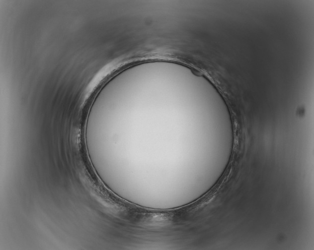 X0000116380056200912161510