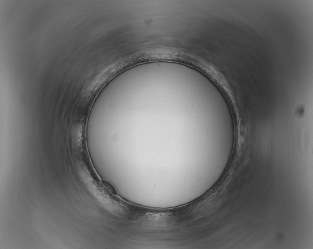 X0000116380057200912161510