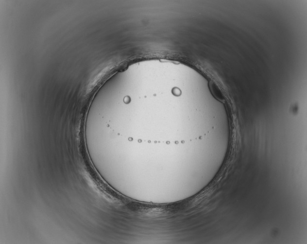 X0000116380058200912161510