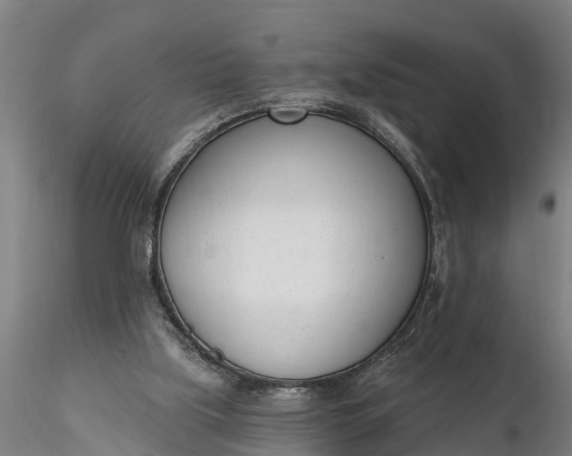 X0000116380059200912161510