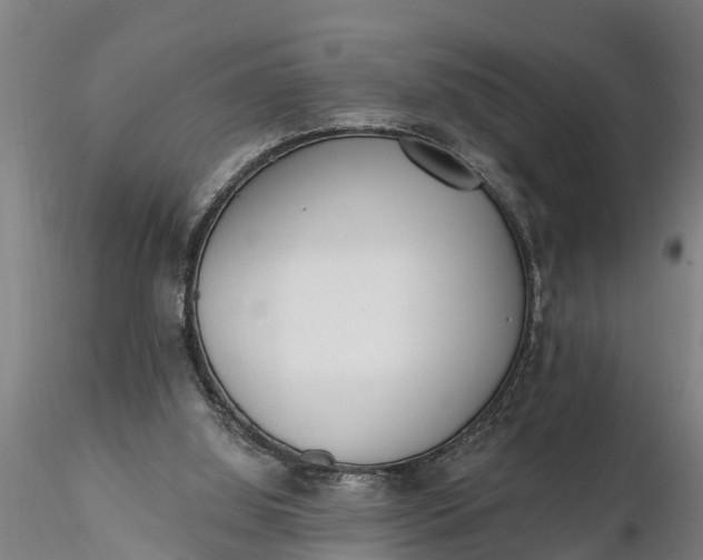 X0000116380060200912161510