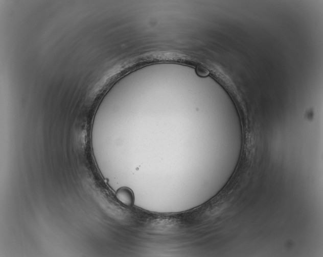X0000116380063200912161510