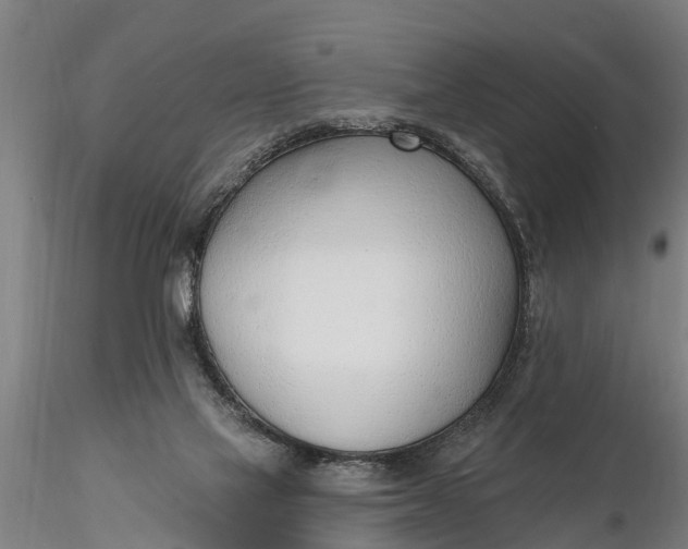 X0000116380069200912161511