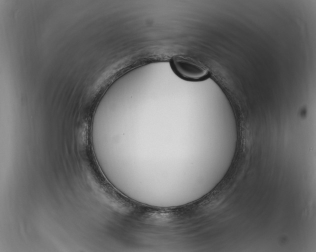 X0000116380071200912161511