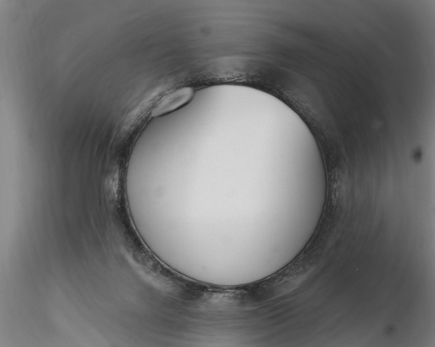 X0000116380072200912161511