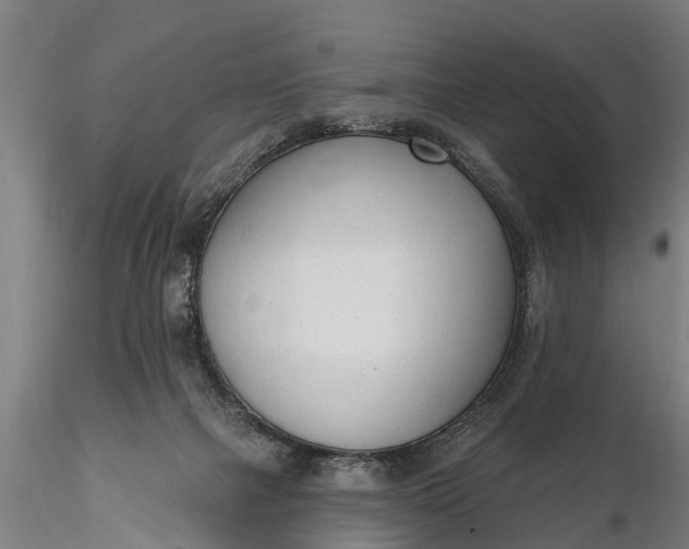 X0000116380073200912161511