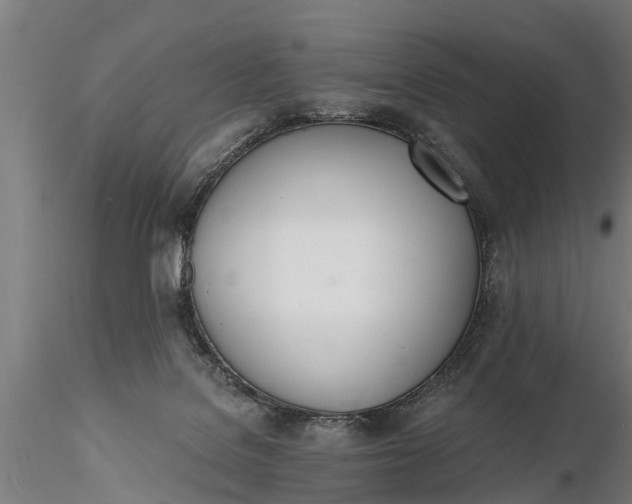X0000116380076200912161511