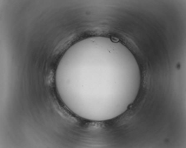 X0000116380077200912161511