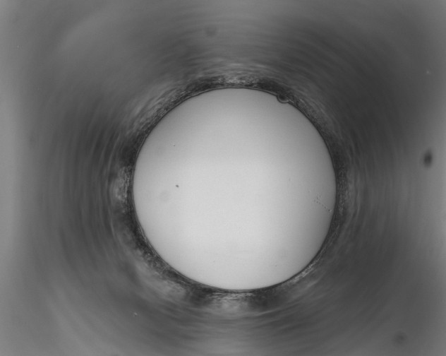 X0000116380078200912161511