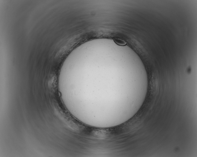 X0000116380079200912161511