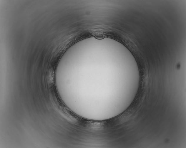 X0000116380081200912161511
