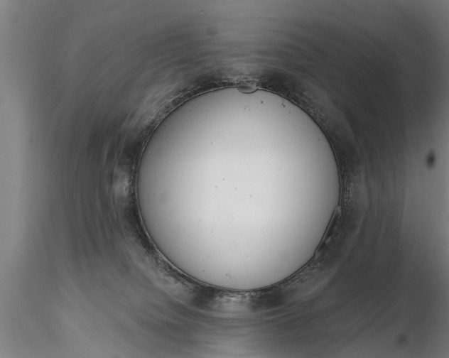 X0000116380084200912161511