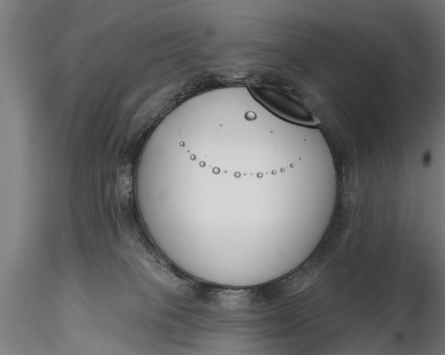 X0000116380085200912161511