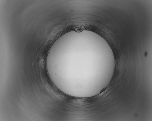 X0000116380086200912161511