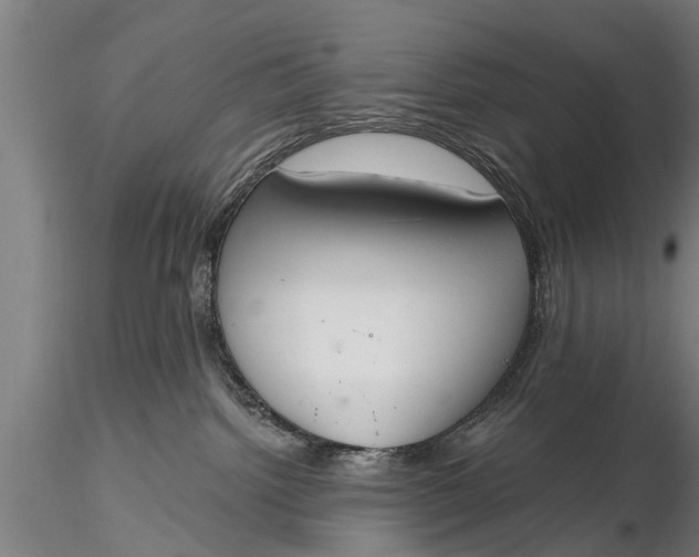X0000116380092200912161511