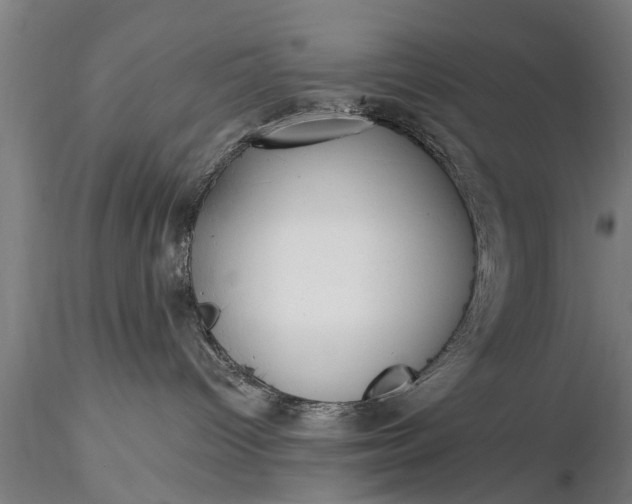X0000116380096200912161511