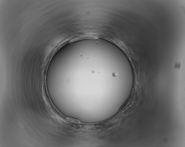 X0000116380097200912161510