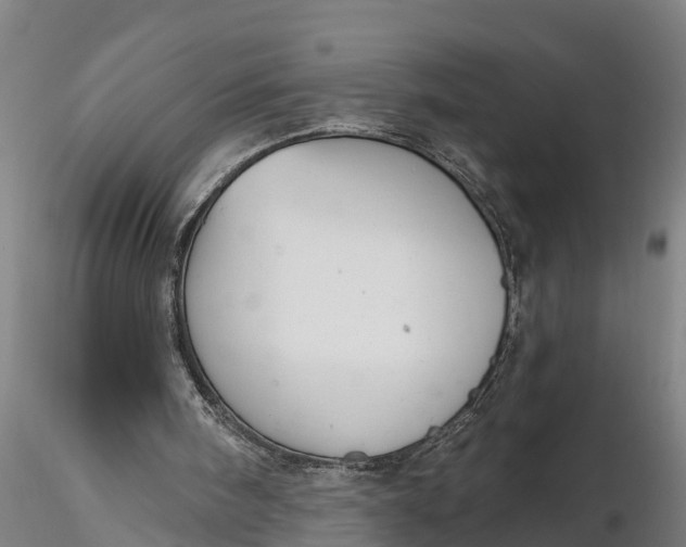 X0000116380098200912161510