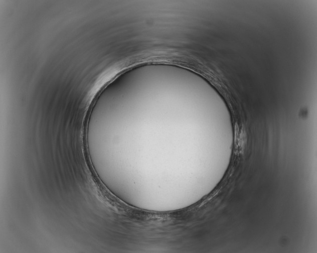 X0000116380099200912161510