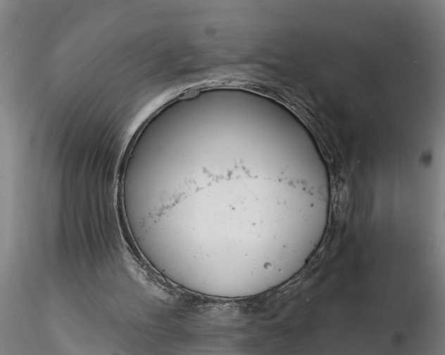 X0000116380100200912161510