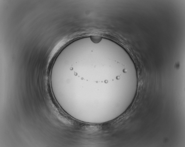 X0000116380102200912161510