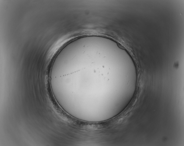 X0000116380103200912161510